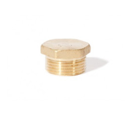 brass plug with external thread 1'